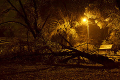 Cape-ice-storm-02-21-2013_2555