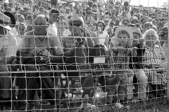 1965-Sikeston-Rodeo-