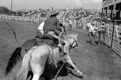 1965 Sikeston Jaycee Rodeo