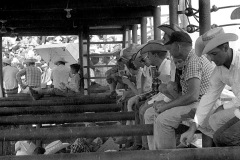 1965 Sikeston Jaycee Rodeo